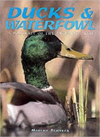 Ducks & Waterfowl - a Portrait Of The Animal World