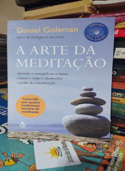 A arte da meditação