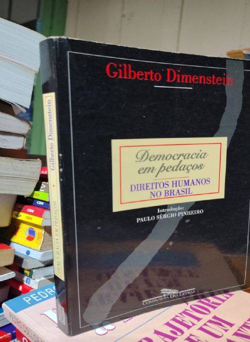 Democracia em Pedacos - direitos humanos no Brasil
