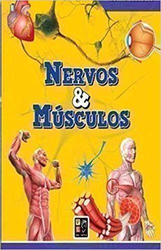 Nervos e Músculos - Curiosidades do Corpo Humano