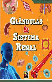 Glândulas & Sistema Renal Curiosidadesdo corpo humano
