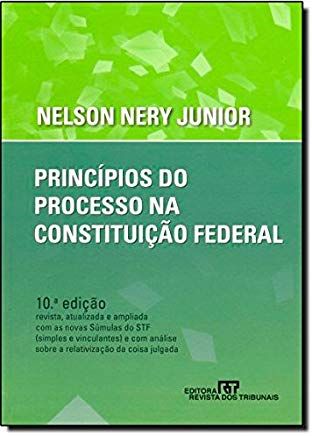 principios do processo na constituiçao federal