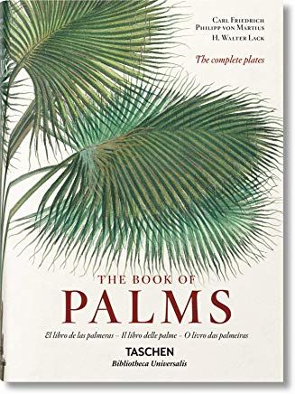 THE BOOK OF PALMS O LIVRO DAS PALMEIRAS