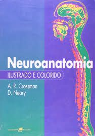 Neuroanatomia - Ilustrado e Colorido