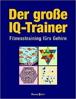Der groaye IQ-Trainer. Fitnesstraining fürs Gehirn