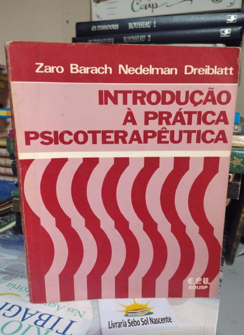 Introdução A Prática Psicoterapeutica