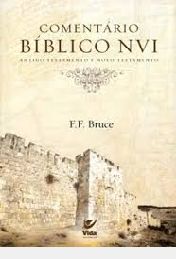 COMENTÁRIO BÍBLICO NVI - ANTIGO E NOVO TESTAMENTO