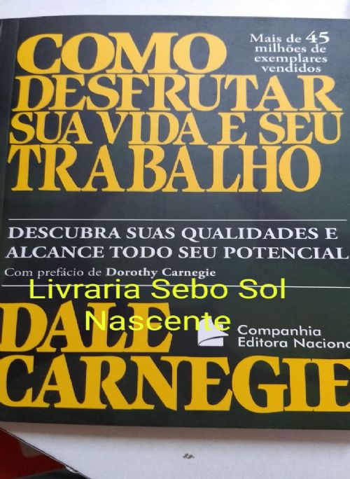 COMO DESFRUTAR SUA VIDA E SEU TRABALHO - BOLSO
