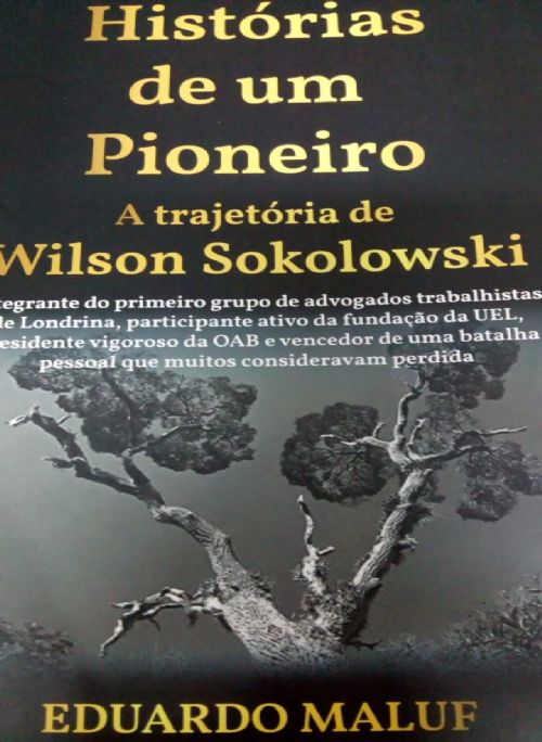 história de um pioneiro: a trajetória de wilson sokolowski