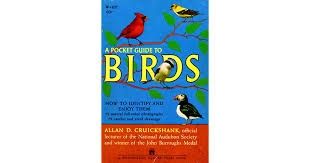 a pocket guide to birds