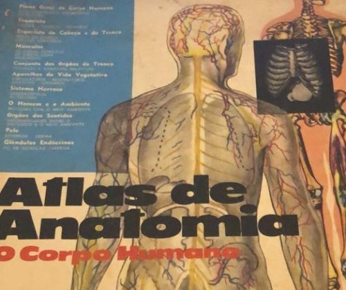atlas de anatomia o corpo humano