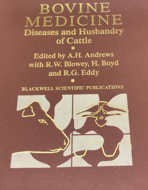 bovine medicine diseases and husbandry of cattle