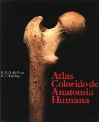 ATLAS COLORIDO DE ANATOMIA HUMANA