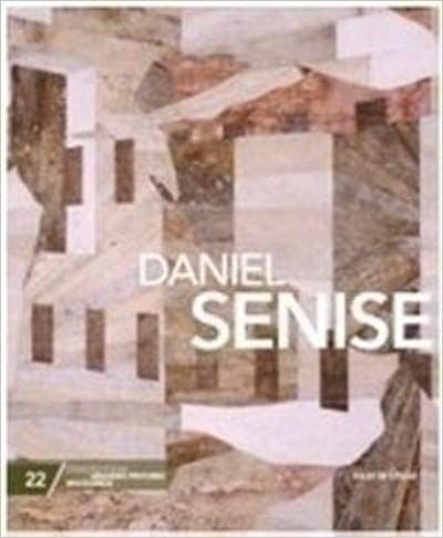 Daniel Senise - coleção folha grandes pintores brasileiros