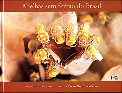 ABELHAS SEM FERRAO DO BRASIL