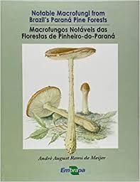 Macrofungos Notáveis das Florestas de Pinheiro-do-Paraná
