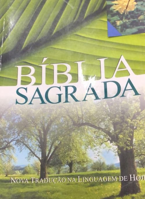 biblia sagrada nova tradução na linguagem de hoje