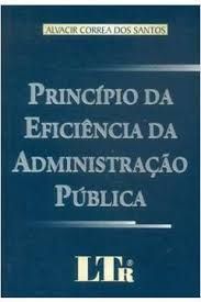 principio da eficiencia da administraçao publica