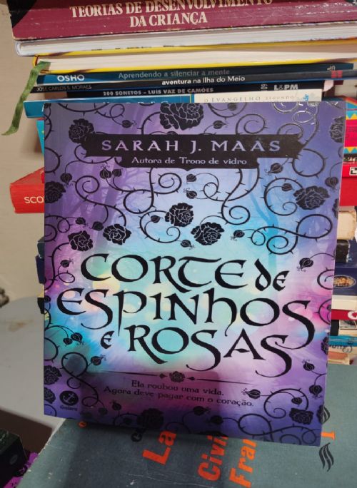 Corte de Espinhos e Rosas