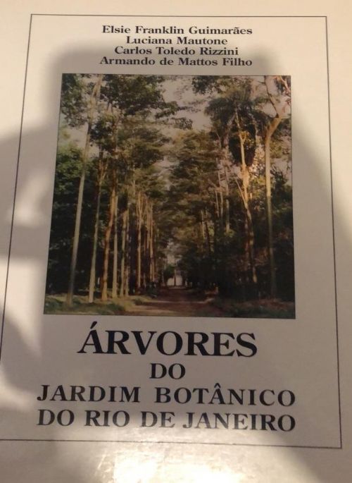 Árvores do Jardim Botânico do Rio de Janeiro