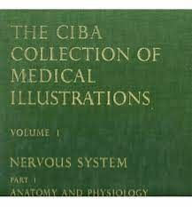 the ciba collection of medical illustrations vol I