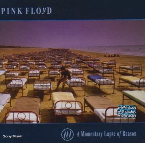 CD A MOMENTARY LAPSE OF REASON