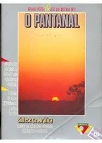 O pantanal - Síntese geográfica