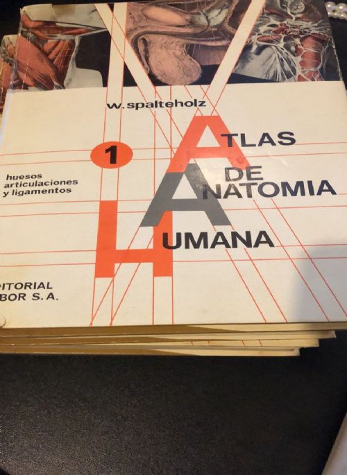 Atlas de Anatomia Humana 3 Vol.