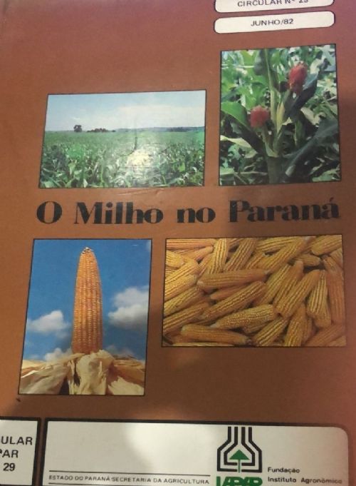 O milho no Paraná