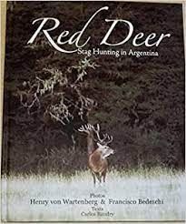 red deer stag hunting in argentina