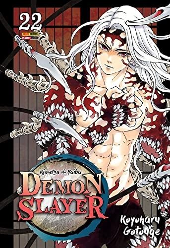 Nº 22 Demon Slayer Kimetsu No Yaiba