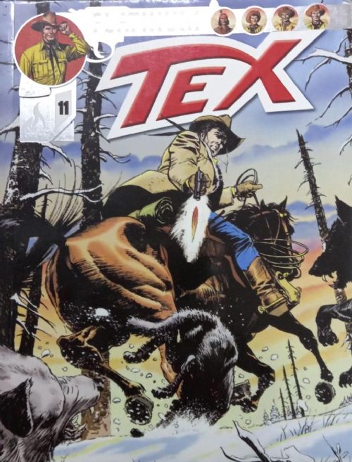 Nº 11 Tex Platinum