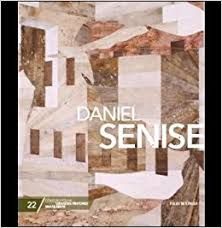 Daniel Senise - coleção folha grandes pintores brasileiros