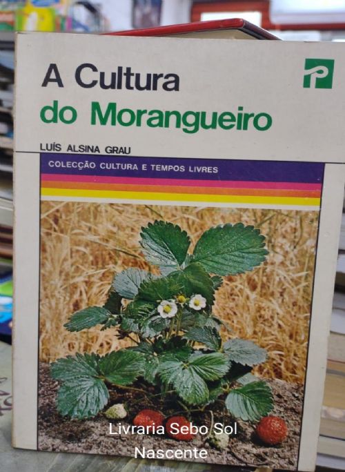 A cultura do morangueiro