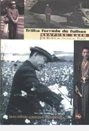 Trilha forrada de folhas