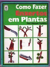 Como Fazer Enxertos em Plantas