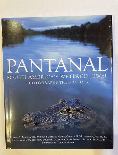 Pantanal: South Americas Wetland Jewel
