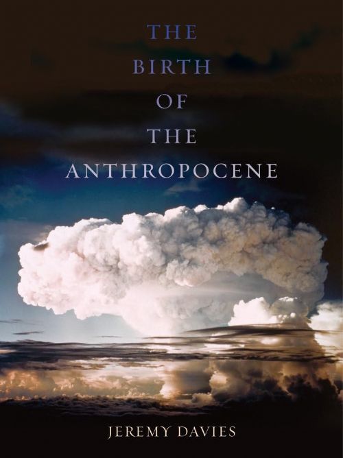The birth of the anthropocene