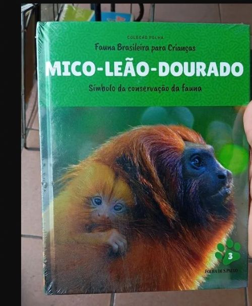 Mico-leão-dourado - Coleção folha Fauna brasileira para crianças Vol. 3