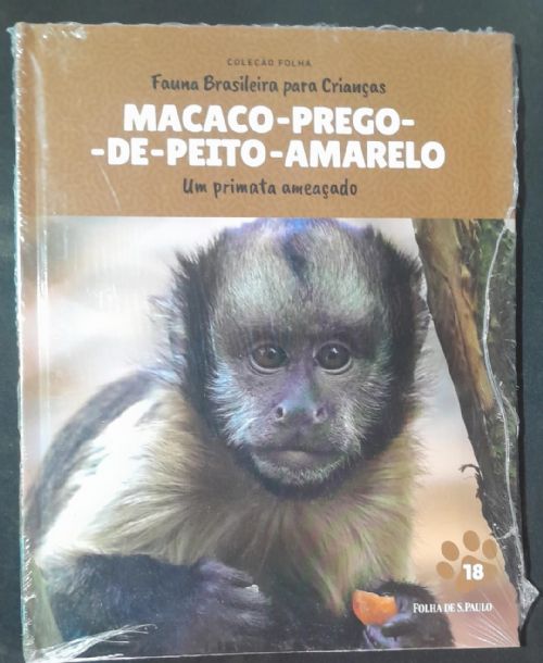 Macaco-Prego-de-Peito-Amarelo - Coleção folha Fauna brasileira para as crianças Vol. 18