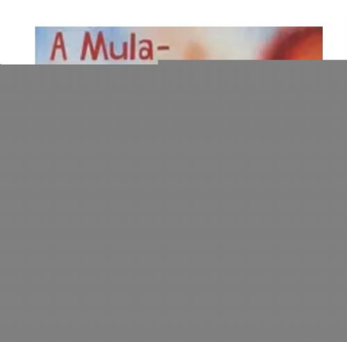 A Mula-sem-cabeça - Coleção folha Folclore Brasileiro para crianças Vol. 3