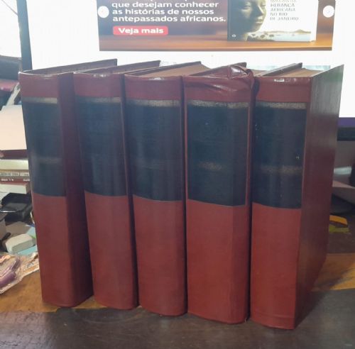 Nôvo dicionário brasileiro Melhoramentos 5 Volumes