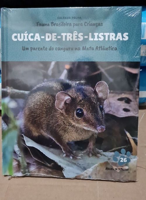 Cuíca-de-Tres-Listras - Coleção folha Fauna brasileira para crianças 26