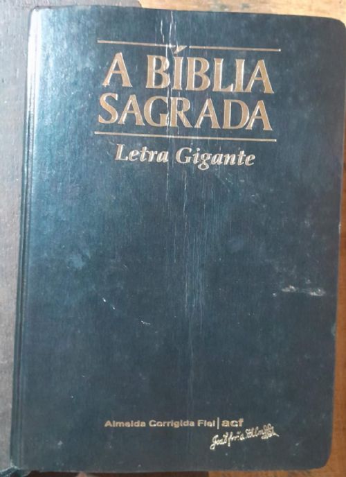 Biblia Sagrada Letra Gigante Vinho Couro