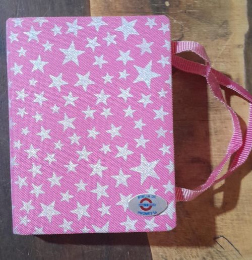 Bíblia de Promessas