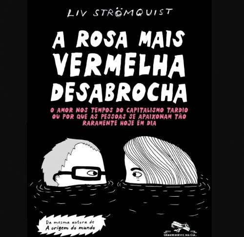 A rosa mais vermelha desabrocha