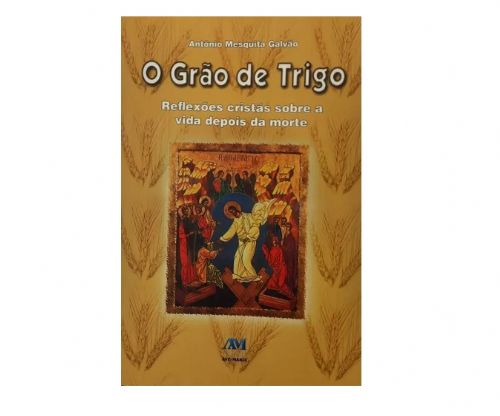 O grão de trigo