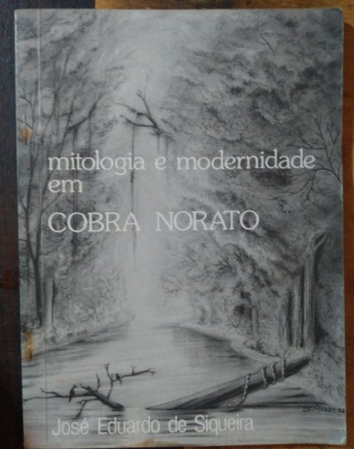 Mitologia e Modernidade Em Cobra Norato