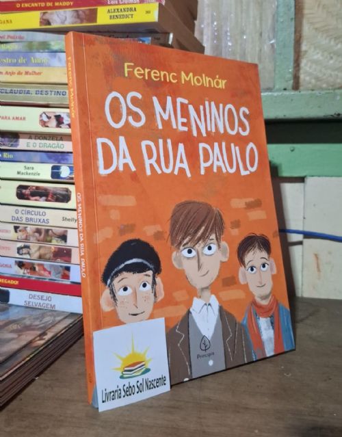Os meninos da rua Paulo